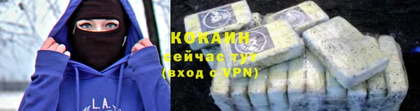 альфа пвп Медвежьегорск