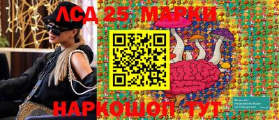 mdpv Дубна