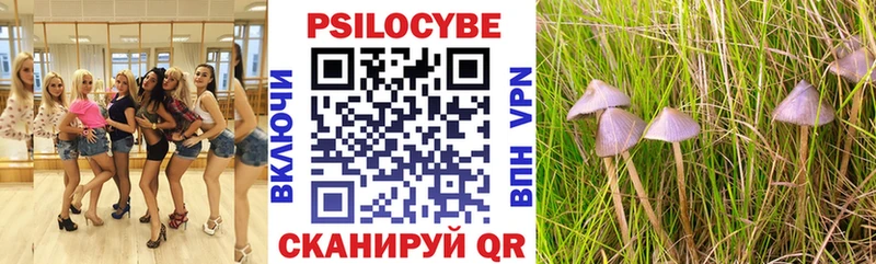 Галлюциногенные грибы мицелий  Заволжье 