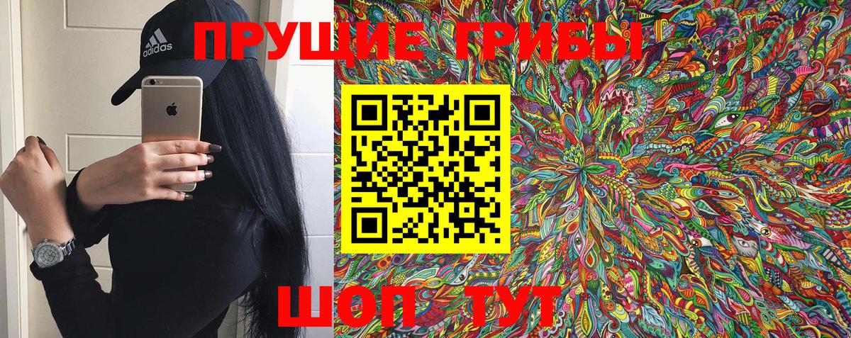 наркота  Галлюциногенные грибы Psilocybe  Вход с VPN  Заволжье 