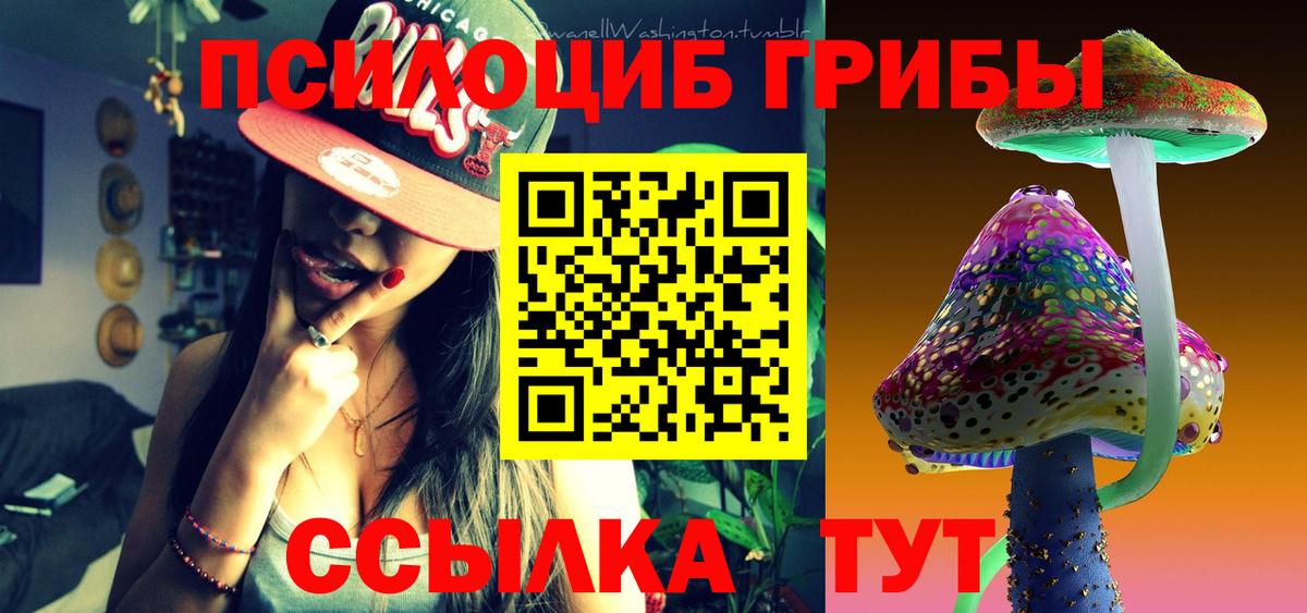 Псилоцибиновые грибы мухоморы Заволжье