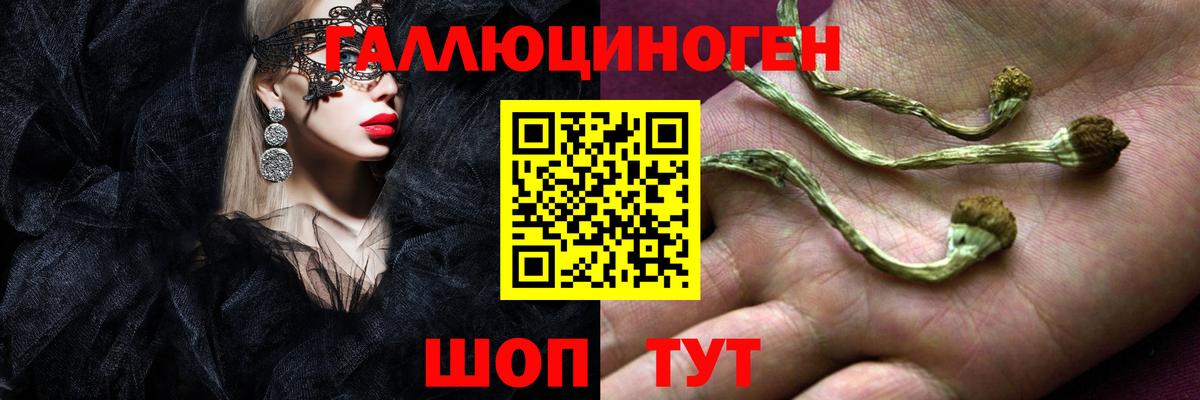 Псилоцибиновые грибы MAGIC MUSHROOMS Заволжье