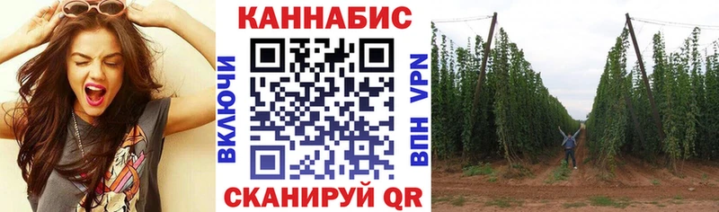 как найти   Заволжье  Конопля LSD WEED 