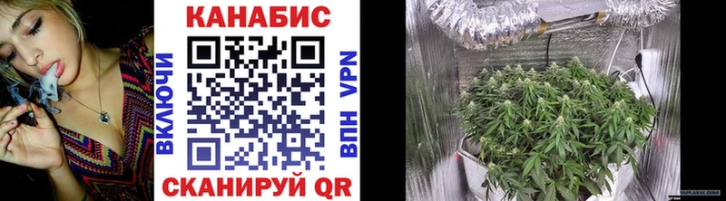 Бошки Шишки OG Kush Заволжье