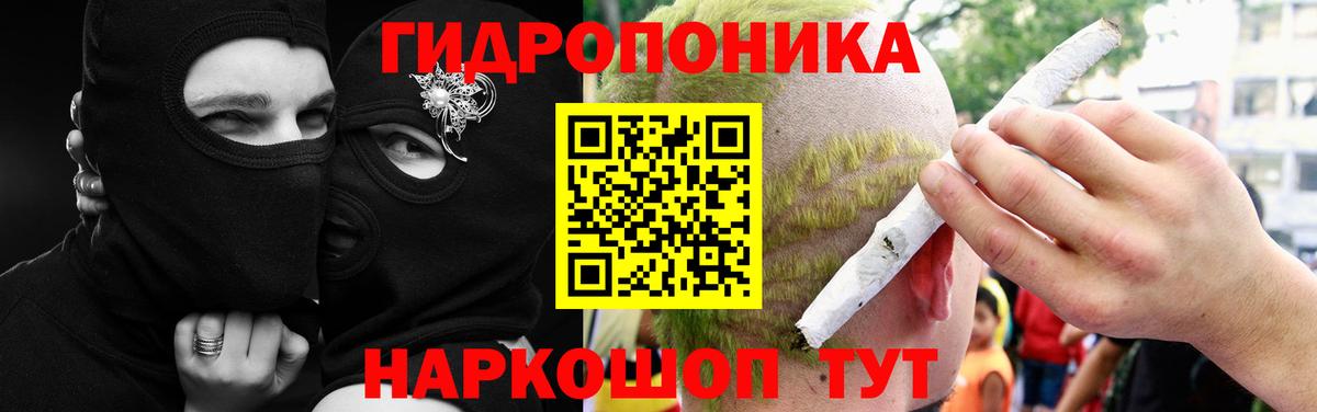 Конопля ГИДРОПОН  МАРИХУАНА конопля  Заволжье  МАРИХУАНА гибрид 